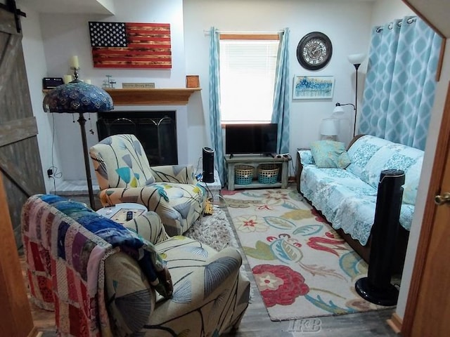 living room with a barn door