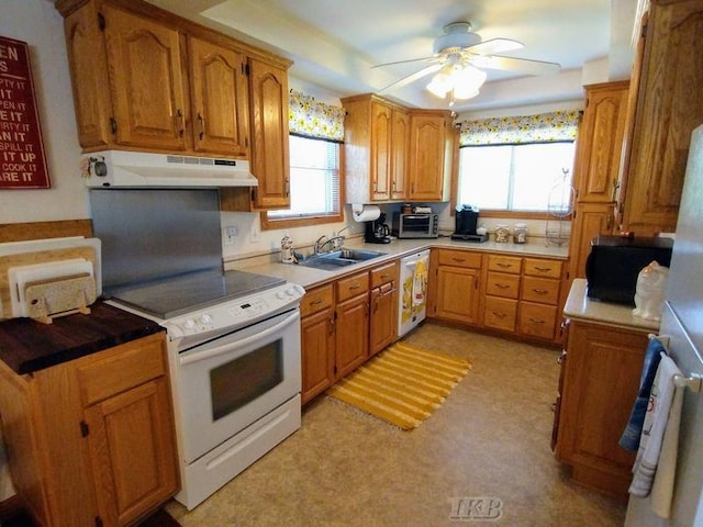 kitchen with sink, white appliances, ceiling fan, and a healthy amount of sunlight