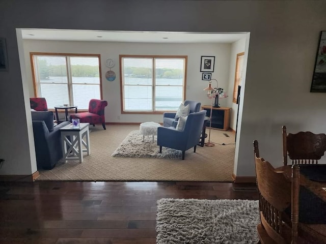 living room with dark wood-type flooring