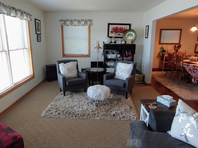 living room featuring carpet