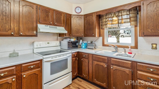 kitchen with sink, light wood-type flooring, and white electric range oven