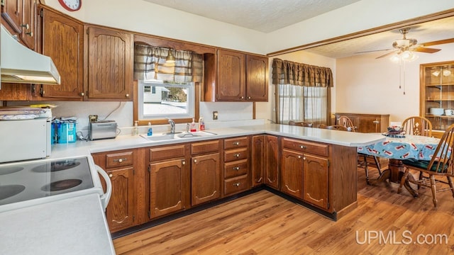 kitchen featuring sink, ceiling fan, plenty of natural light, and kitchen peninsula