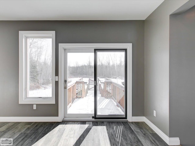 entryway featuring dark wood-type flooring