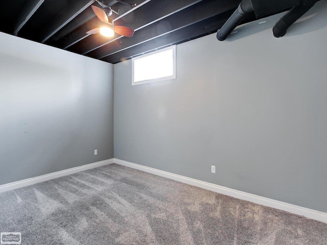 basement featuring carpet