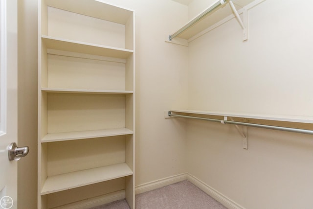 spacious closet with carpet