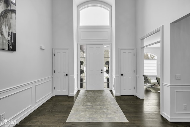 entryway featuring a high ceiling and dark hardwood / wood-style flooring