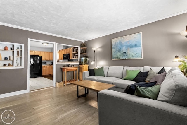 living room featuring crown molding and light hardwood / wood-style floors