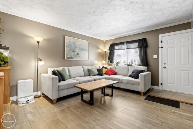 living room featuring a textured ceiling, crown molding, and light hardwood / wood-style floors