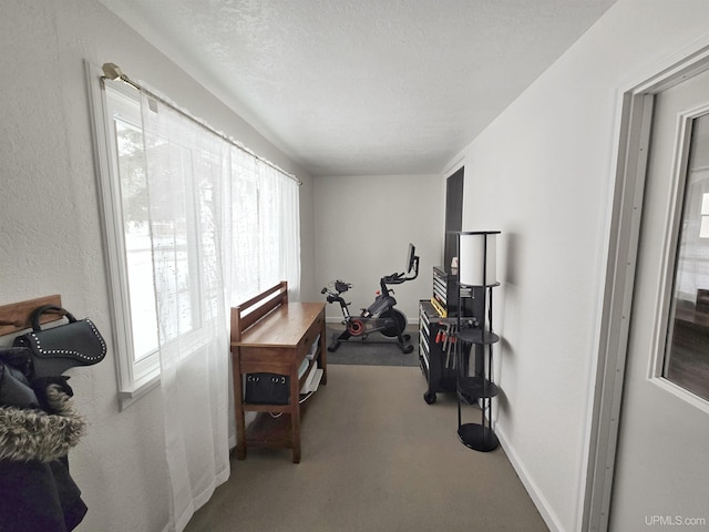 exercise area featuring a wealth of natural light and light carpet