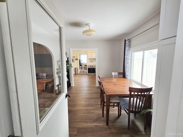 dining room with a healthy amount of sunlight and dark hardwood / wood-style flooring