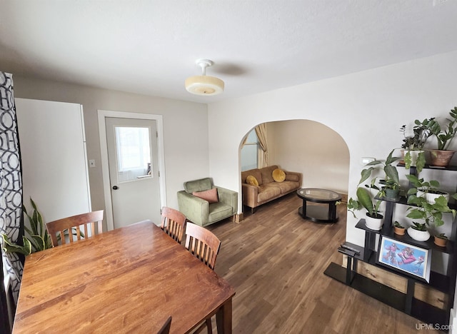 dining space with dark hardwood / wood-style floors