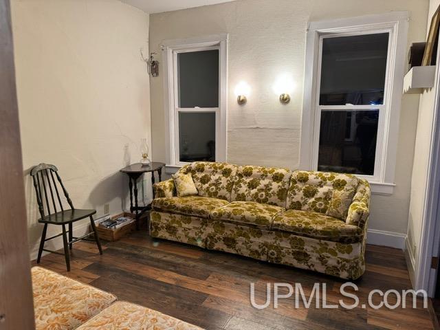 living room featuring dark wood-type flooring