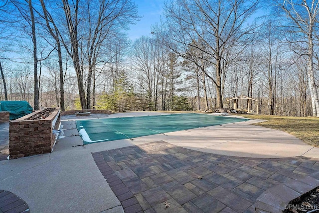 view of swimming pool with a patio