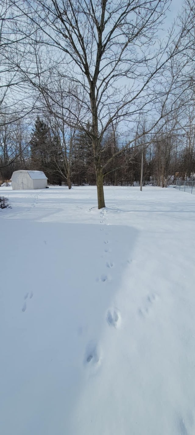 view of snowy yard