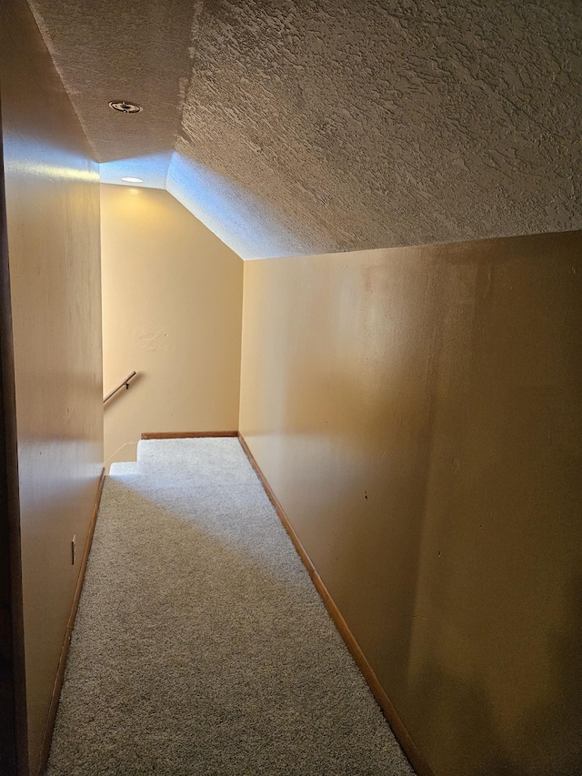 additional living space with a textured ceiling, lofted ceiling, and carpet floors