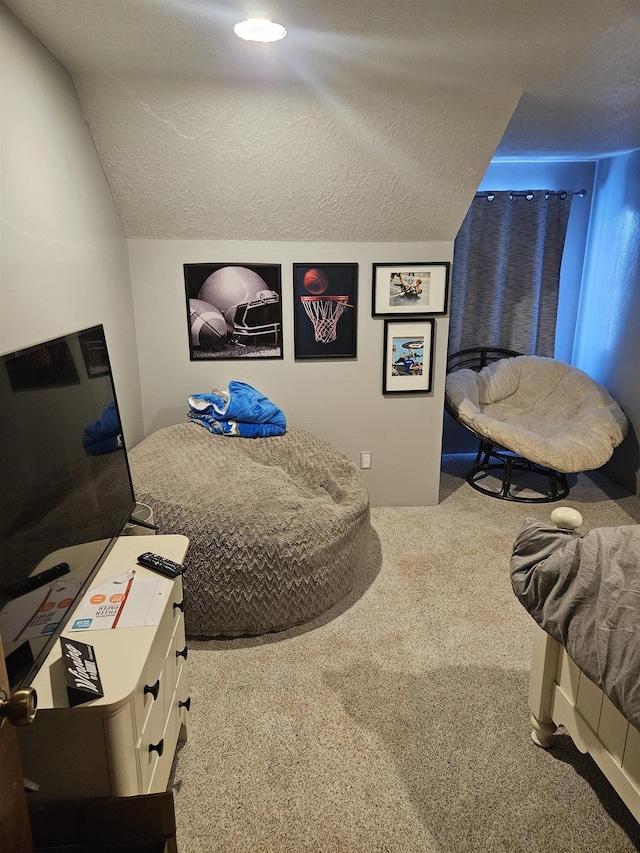 interior space with vaulted ceiling, a textured ceiling, and carpet flooring