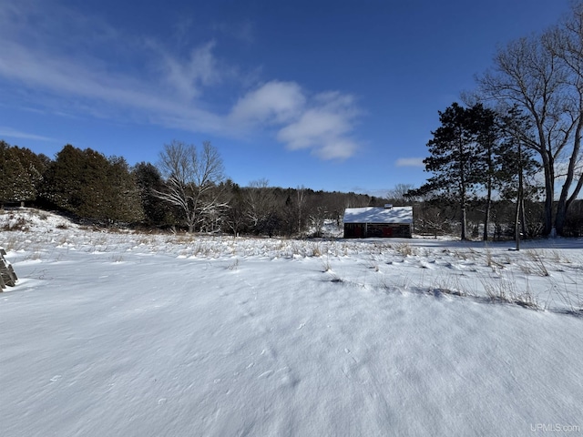 view of yard covered in snow