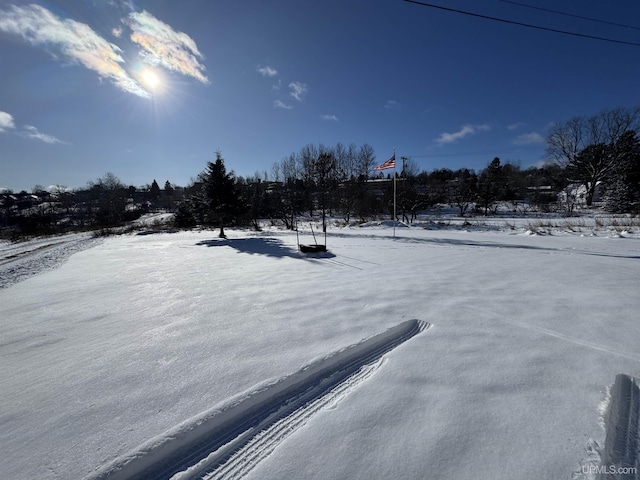 view of yard covered in snow