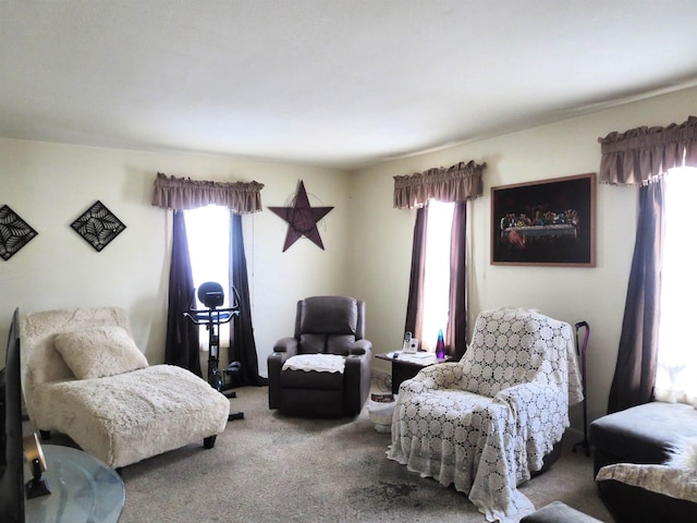 sitting room featuring carpet and a healthy amount of sunlight