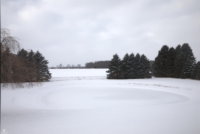 view of yard layered in snow