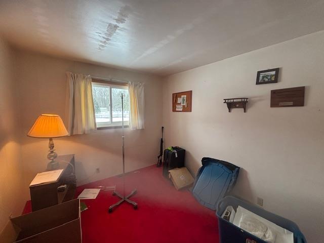 sitting room featuring carpet floors