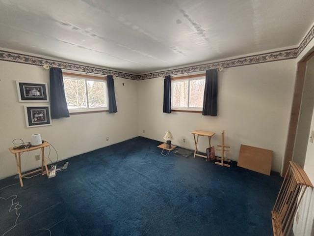 carpeted empty room featuring a wealth of natural light