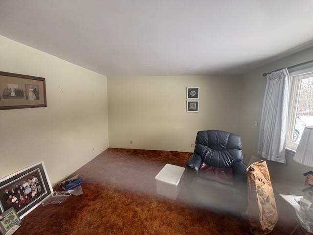 sitting room featuring carpet flooring