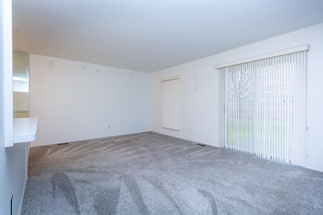 spare room featuring carpet floors and a wealth of natural light