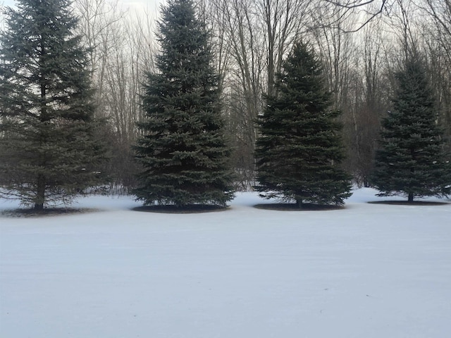 view of yard layered in snow