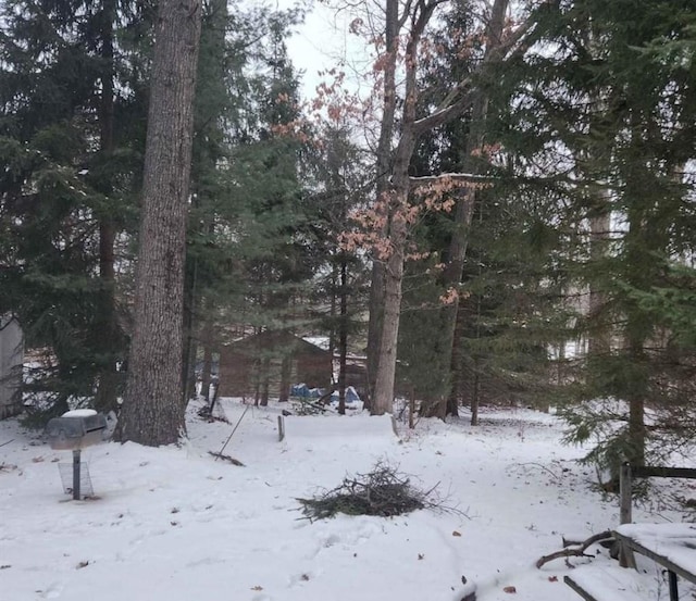 view of snow covered land