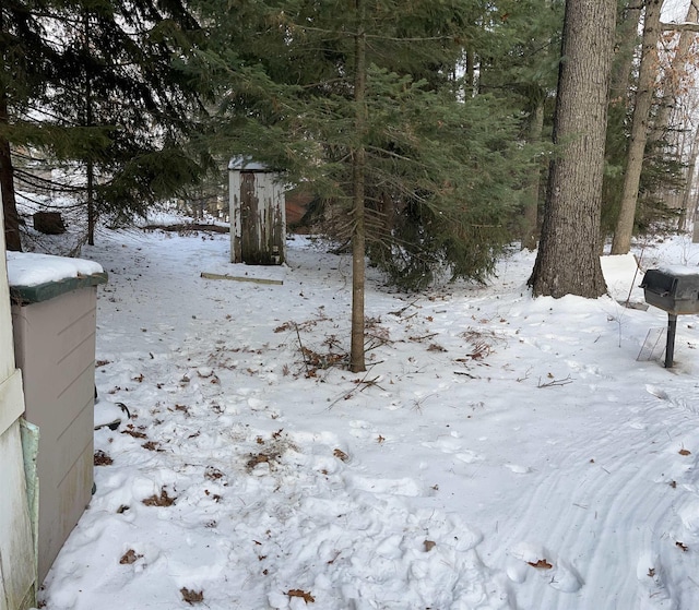 view of yard covered in snow