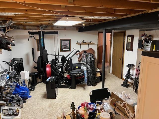 workout area with carpet floors