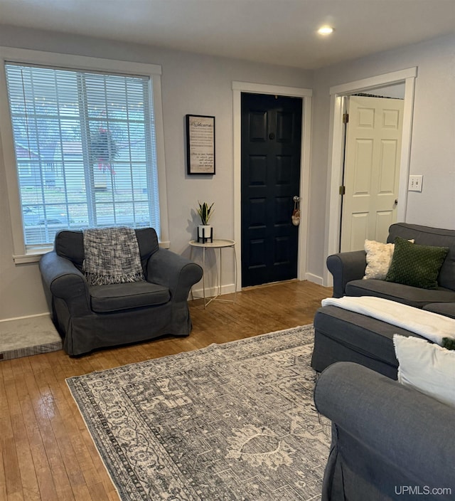 living room with plenty of natural light and wood-type flooring