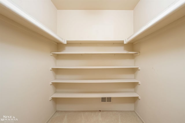 walk in closet with light carpet