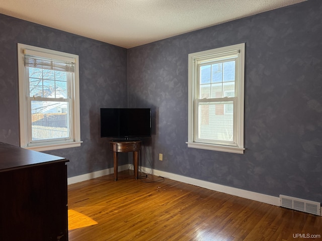 interior space featuring hardwood / wood-style floors, a wealth of natural light, and a textured ceiling