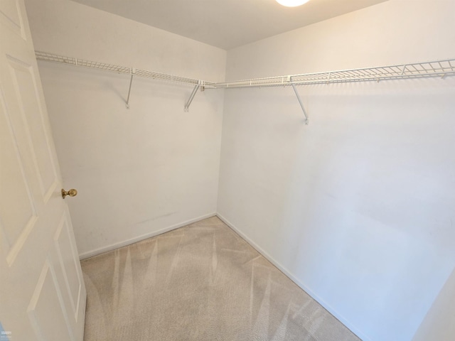 spacious closet featuring light colored carpet