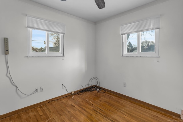 spare room with ceiling fan and wood-type flooring