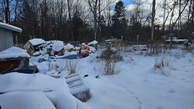 view of snowy yard