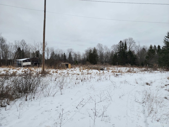 view of snowy yard