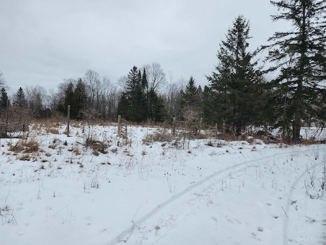 view of snowy landscape