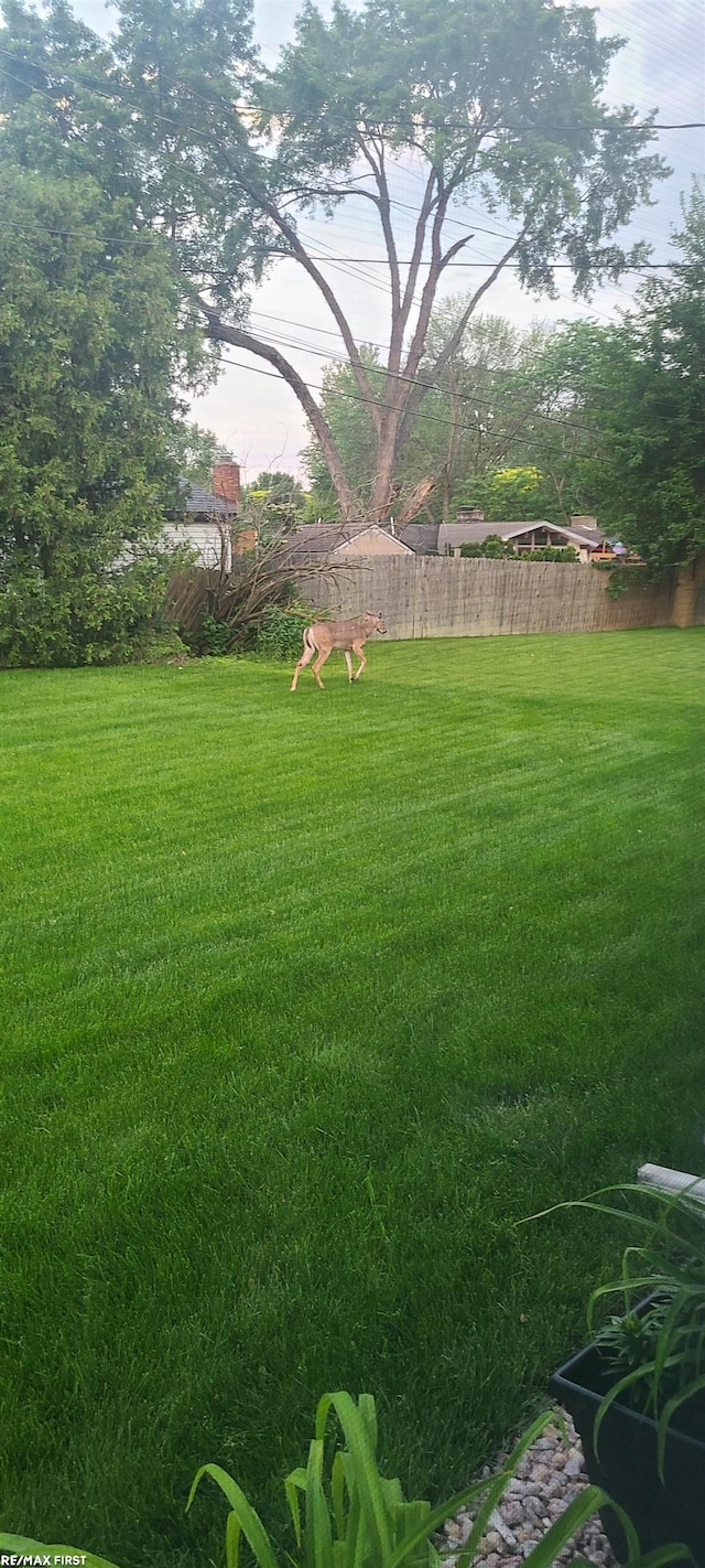 view of yard