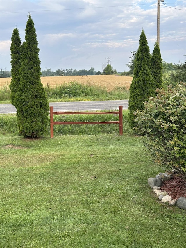 view of yard featuring a rural view