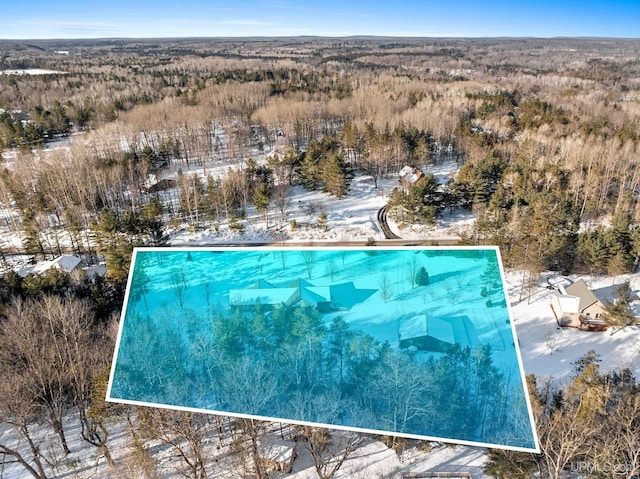 view of snow covered pool