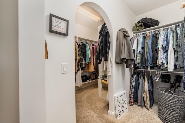 walk in closet with light colored carpet