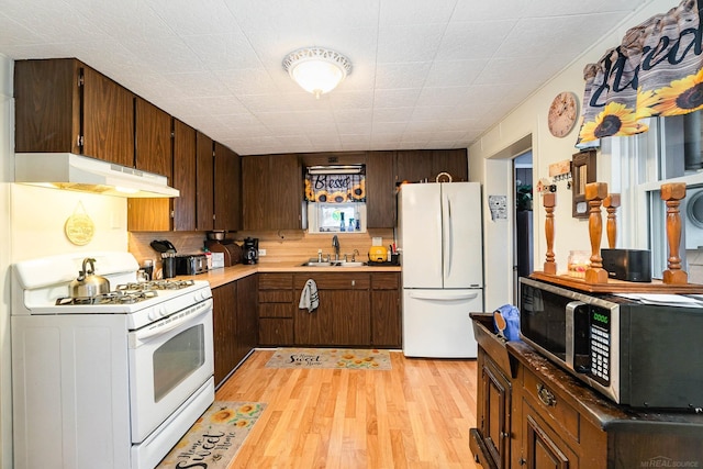 kitchen featuring sink, white appliances, dark brown cabinetry, and light hardwood / wood-style flooring