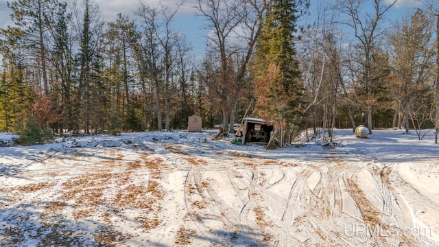 view of yard layered in snow