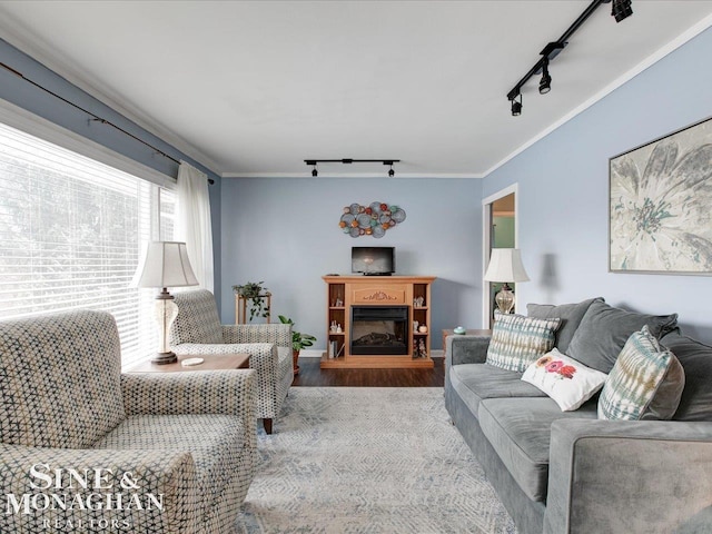 living room featuring rail lighting, hardwood / wood-style floors, and crown molding