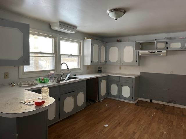 kitchen with sink, dark hardwood / wood-style floors, and gray cabinetry