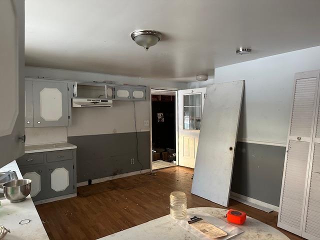 kitchen with dark hardwood / wood-style floors and gray cabinetry