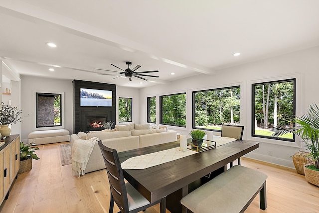 dining space with light hardwood / wood-style floors, a large fireplace, beam ceiling, and ceiling fan